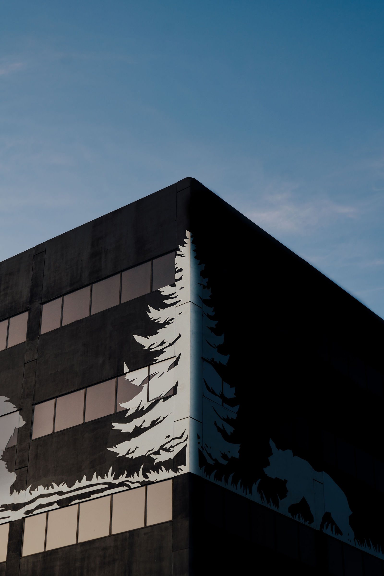 Vertical view of the building corner and pine mural