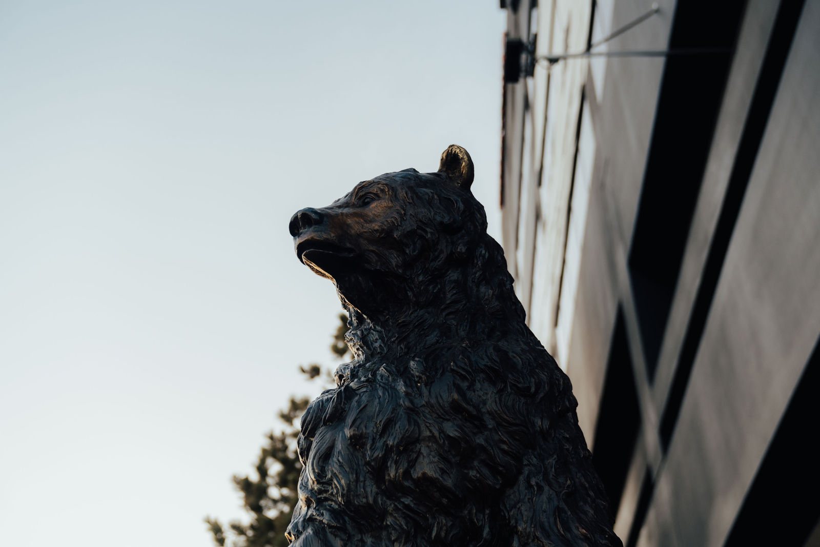 Bronze bear sculpture beside the building facade