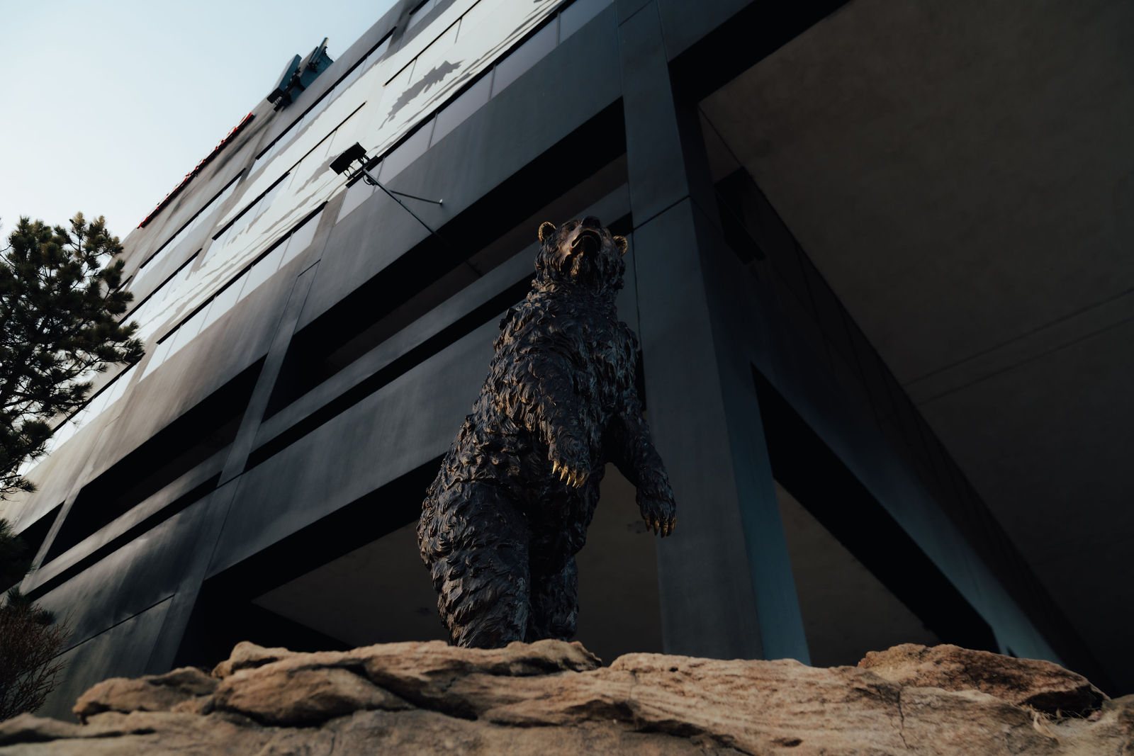 Bear sculpture framed by the building structure