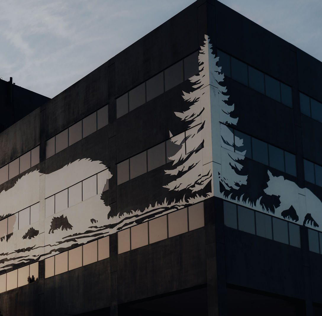 Building facade with pine mural and glazing